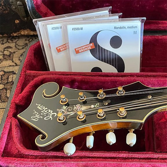 What are the best mandolin strings?