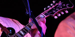 mandolin strings