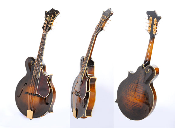 Full size drawings for constructing an H5 mandola designed by Lloyd Loar.